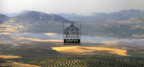 Fotografía de un bonito paisaje de los cerros de Úbeda, cubiertos de plantíos de olivo y zonas amarillentas en barbecho, cubiertas por una ligera neblina hasta el horizonte plagado de montañas de relieve suave. En el centro sobre la foto está el logo de la iniciativa Carrusel: un rectángulo vertical con un tiovivo de feria coronado por un dado de 20 caras, cuyas monturas son una imagen de Cthulhu, un caballero armado a caballo y una armadura de combate tecnológica. Bajo el tiovivo aparecen las letras grandes CARRUSEL ondulando arriba y abajo, y bajo esas, ocupando el mismo ancho, BLOGUERO DE JUEGOS DE ROL.