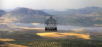 Fotografía de un bonito paisaje de los cerros de Úbeda, cubiertos de plantíos de olivo y zonas amarillentas en barbecho, cubiertas por una ligera neblina hasta el horizonte plagado de montañas de relieve suave. En el centro sobre la foto está el logo de la iniciativa Carrusel: un rectángulo vertical con un tiovivo de feria coronado por un dado de 20 caras, cuyas monturas son una imagen de Cthulhu, un caballero armado a caballo y una armadura de combate tecnológica. Bajo el tiovivo aparecen las letras grandes CARRUSEL ondulando arriba y abajo, y bajo esas, ocupando el mismo ancho, BLOGUERO DE JUEGOS DE ROL.